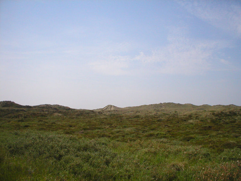 18 juni 2006 - Oerol Terschelling