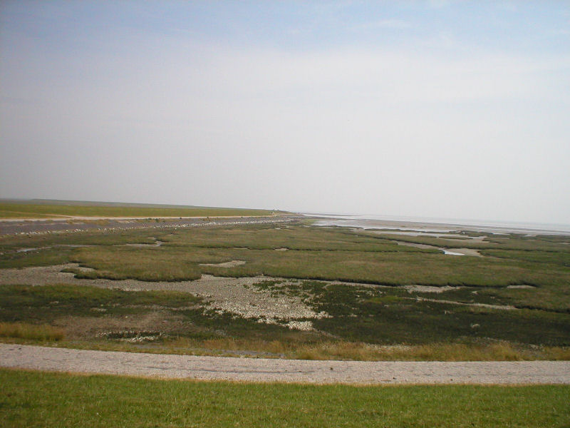 18 juni 2006 - Oerol Terschelling