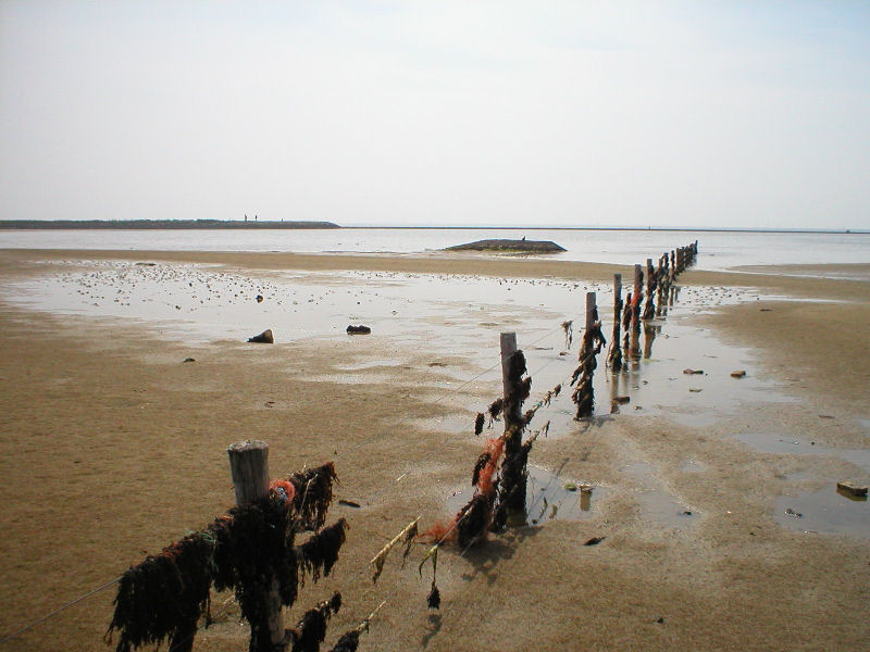 18 juni 2006 - Oerol Terschelling