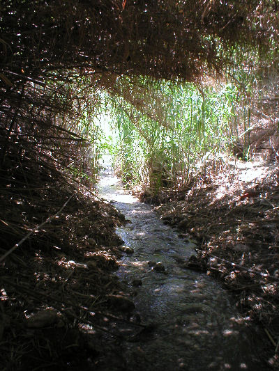 28 juni 2006 Rhodos - Rivier